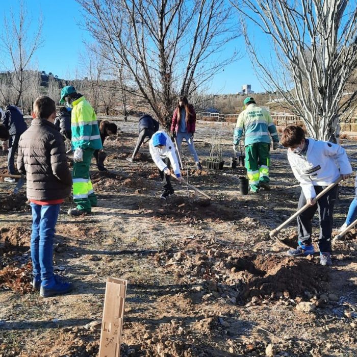 Bosque de los Ciudadanos, ¿dónde está?